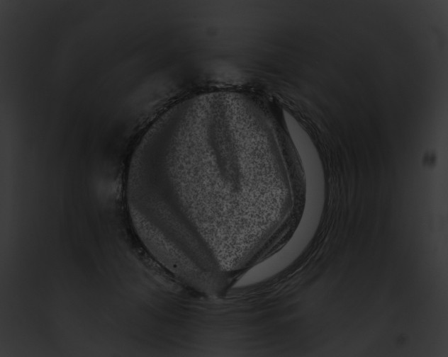 X0000091890608200710031143