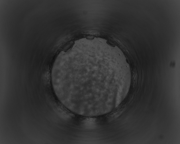 X0000091890609200710031143