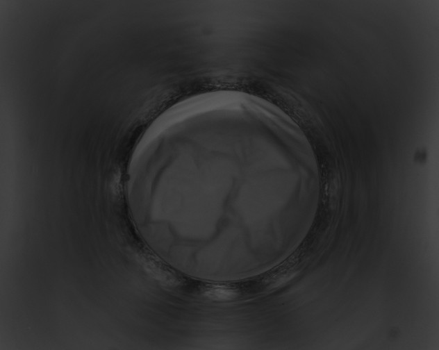 X0000091890610200710031143