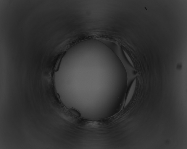 X0000091890611200710031142