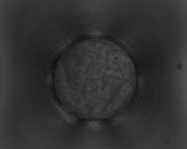 X0000091890618200710031142