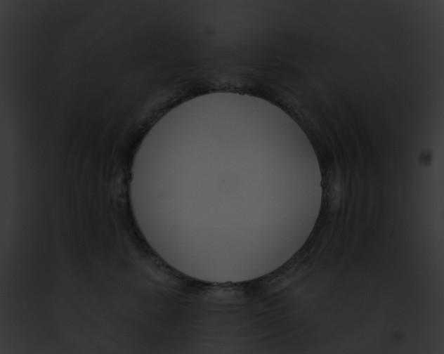 X0000091890619200710031142