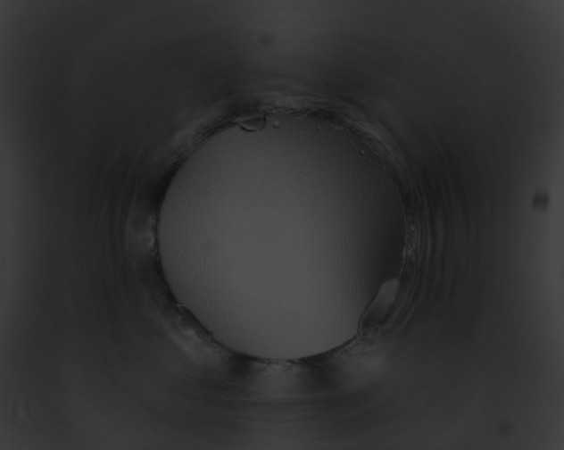 X0000091890621200710031142