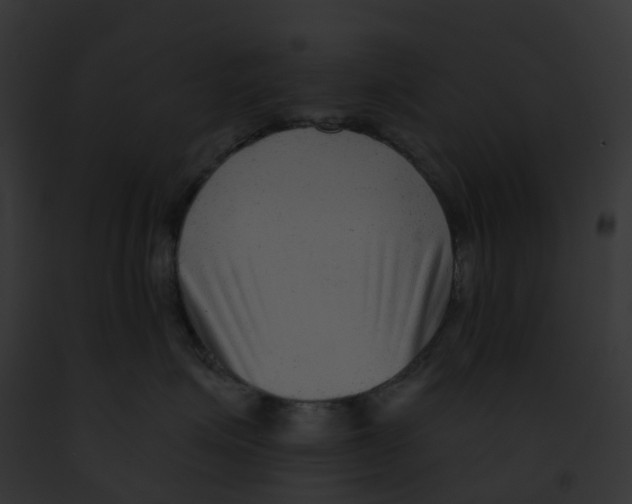 X0000091890623200710031142