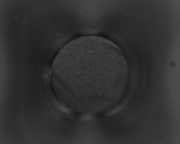 X0000091890624200710031142