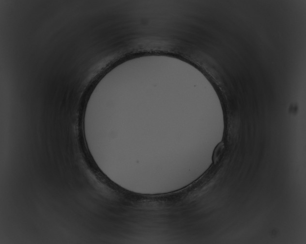 X0000091890629200710031142