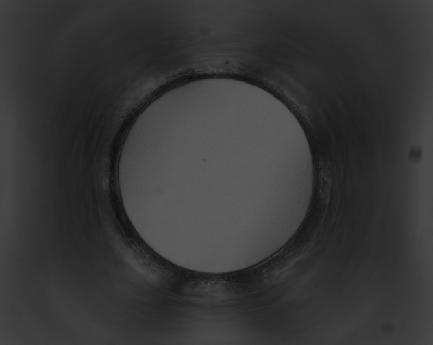 X0000091890631200710031142