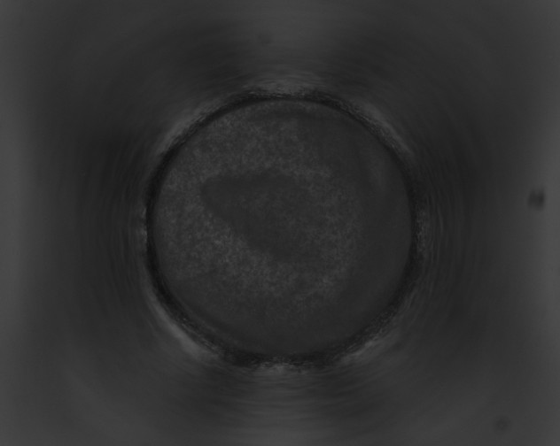 X0000091890634200710031142