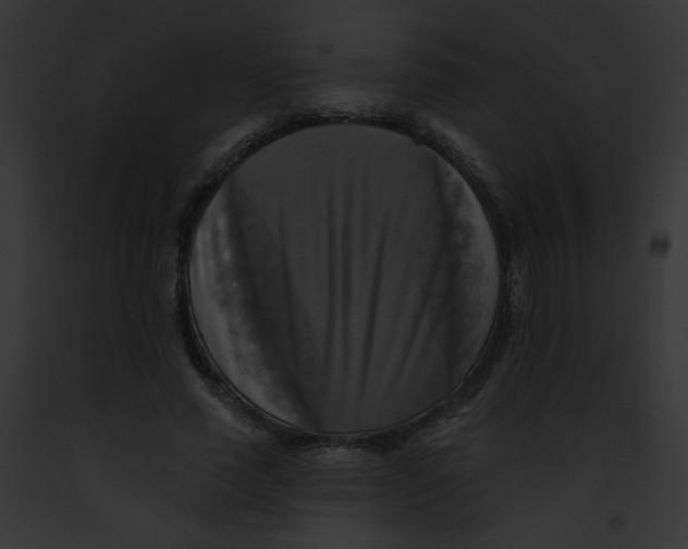 X0000091890637200710031142