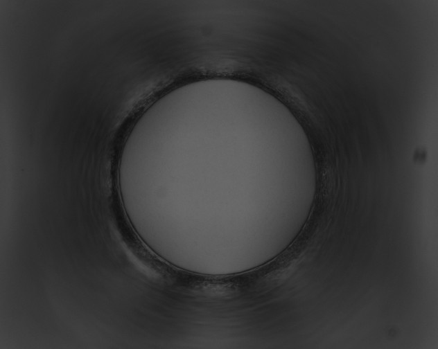 X0000091890638200710031142