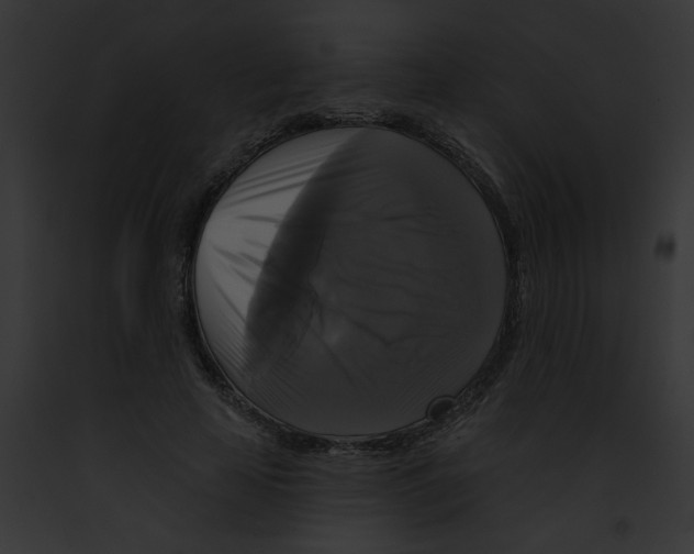X0000091890641200710031142