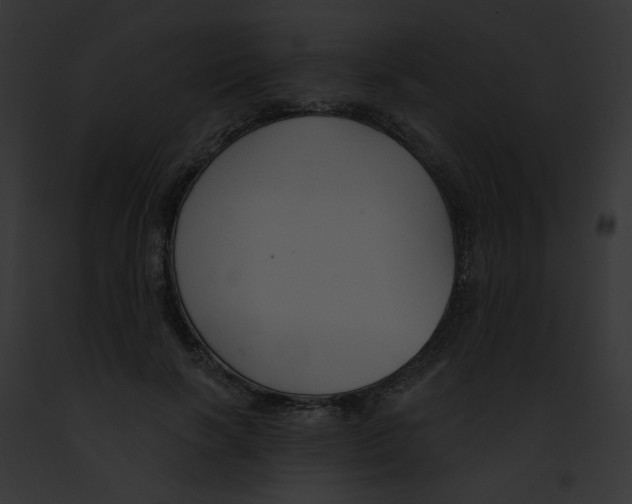 X0000091890646200710031142
