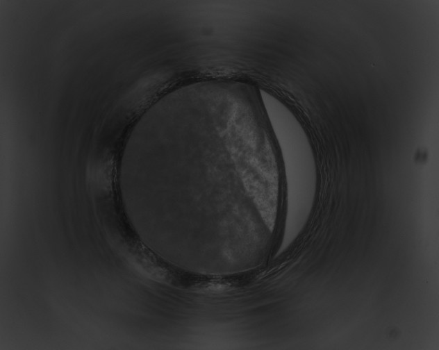 X0000091890647200710031142