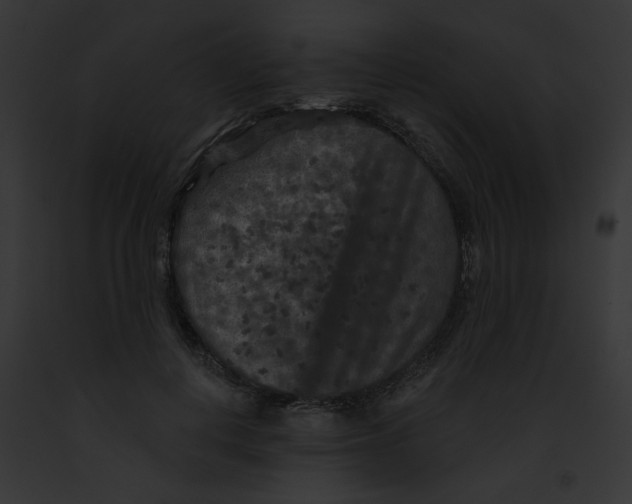 X0000091890648200710031142