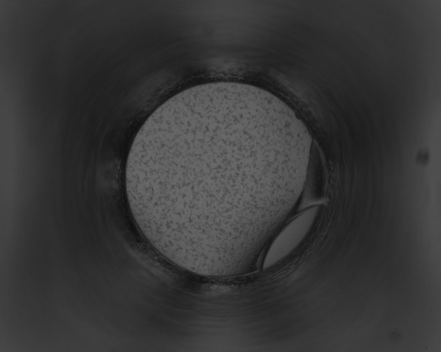 X0000091890649200710031142