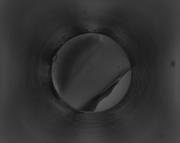 X0000091890650200710031142