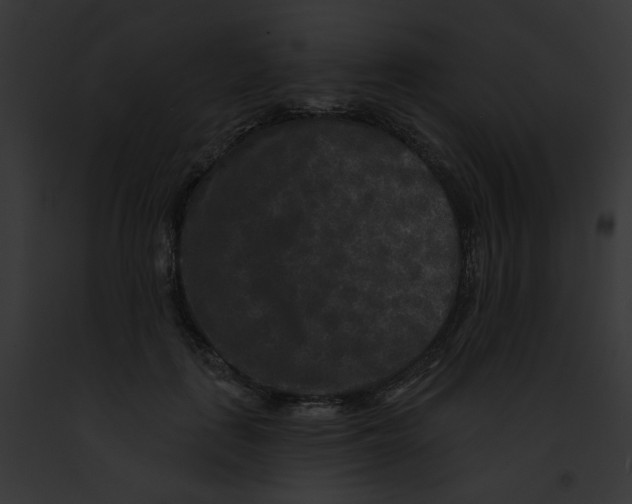 X0000091890651200710031142