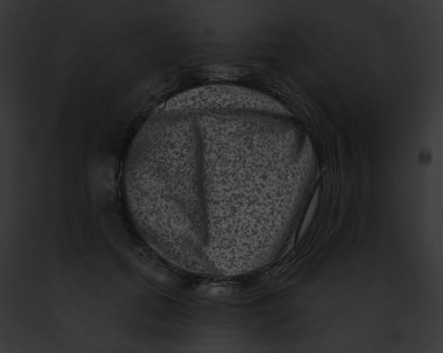 X0000091890655200710031142