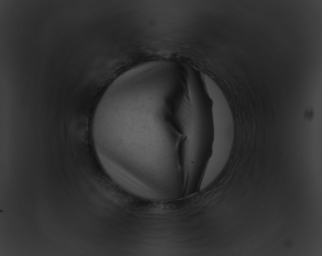 X0000091890656200710031142