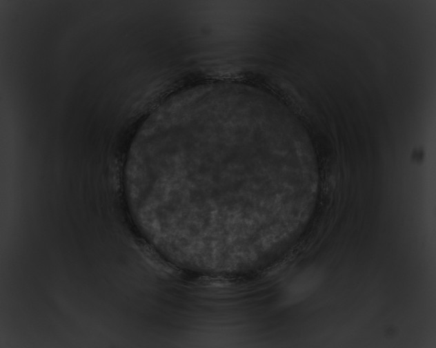 X0000091890658200710031142