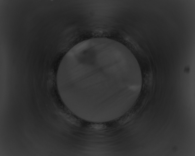 X0000091890659200710031142