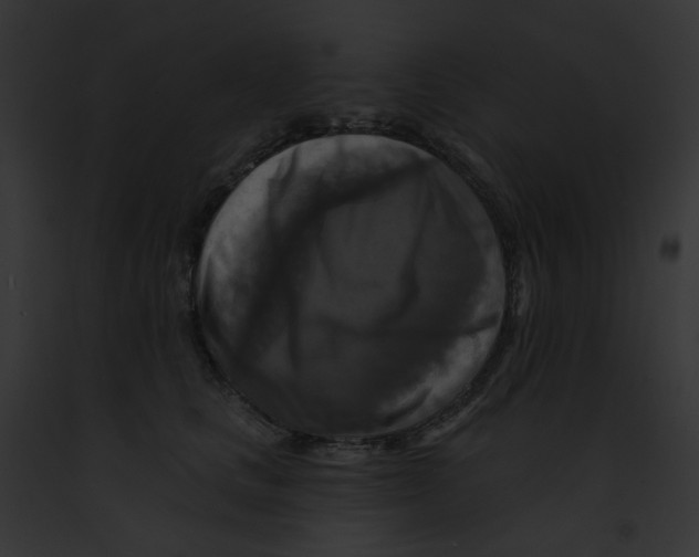 X0000091890661200710031142