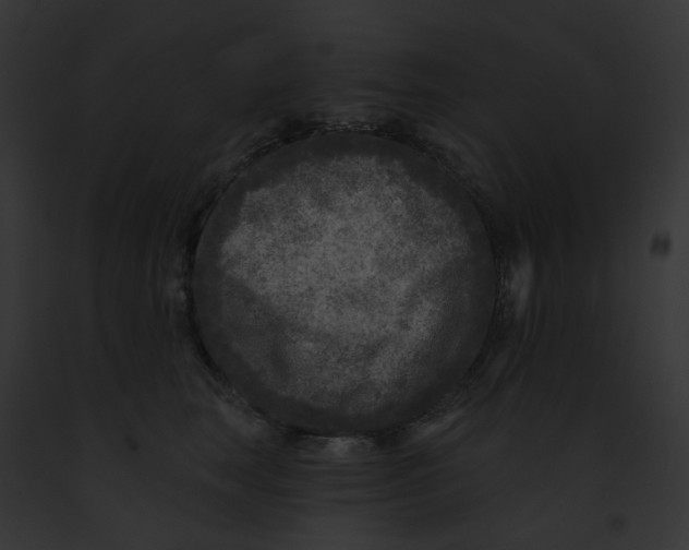 X0000091890663200710031142