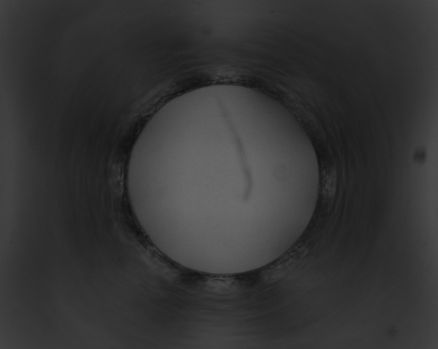 X0000091890666200710031142