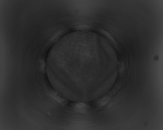 X0000091890669200710031142