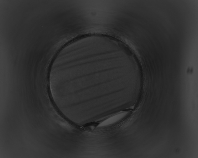 X0000091890673200710031142