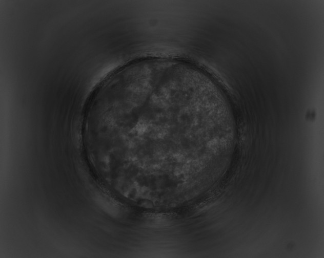 X0000091890679200710031142