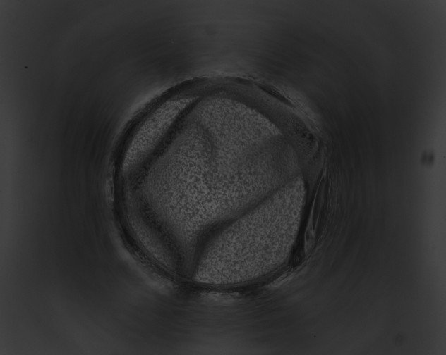 X0000091890680200710031142