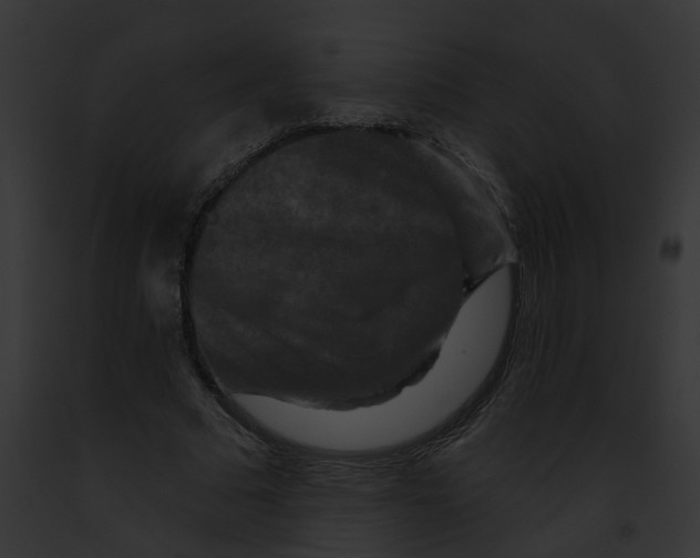 X0000091890681200710031142