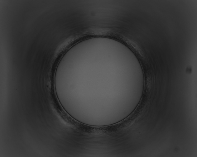 X0000091890682200710031142