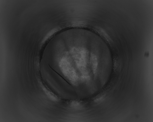 X0000091890684200710031142