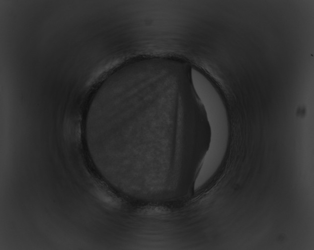 X0000091890685200710031142