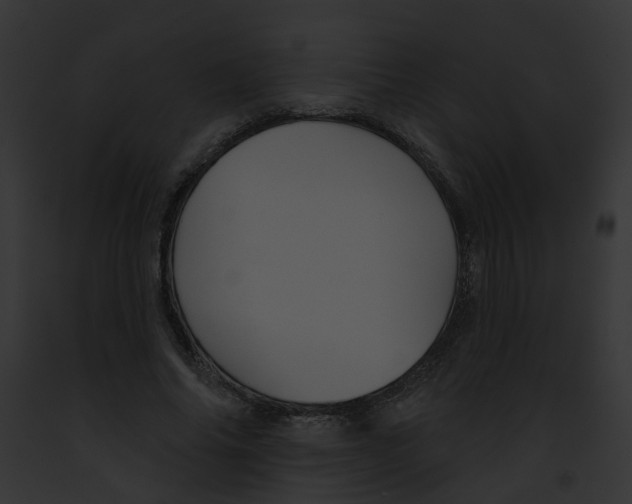 X0000091890686200710031142