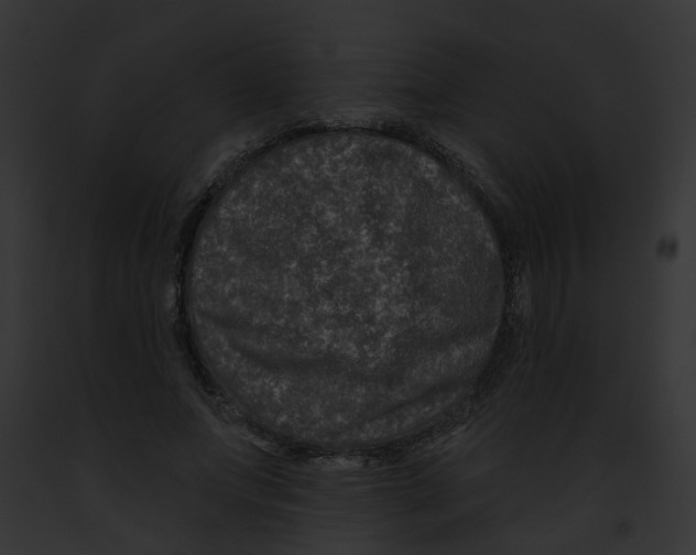 X0000091890687200710031142