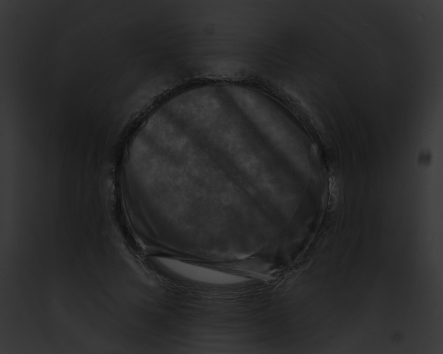 X0000091890688200710031142
