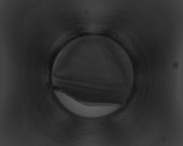 X0000091890689200710031142