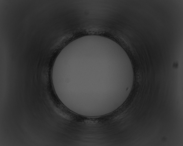X0000091890690200710031142