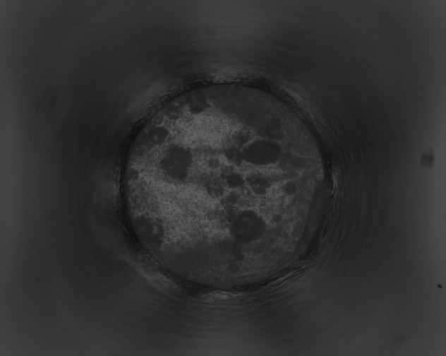 X0000091890691200710031141