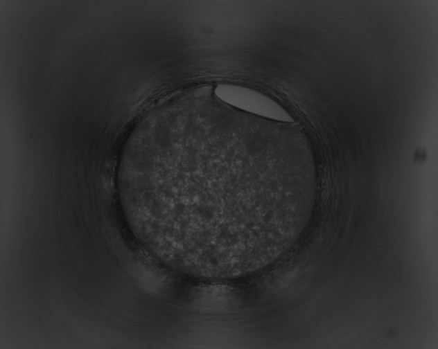 X0000091890695200710031141