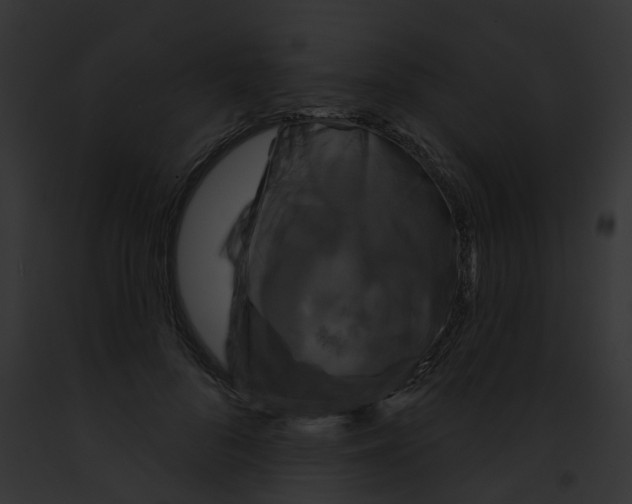 X0000091890696200710031141