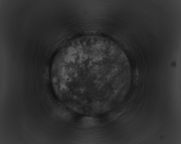 X0000091890699200710031141