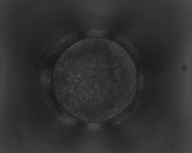 X0000091890701200710031141