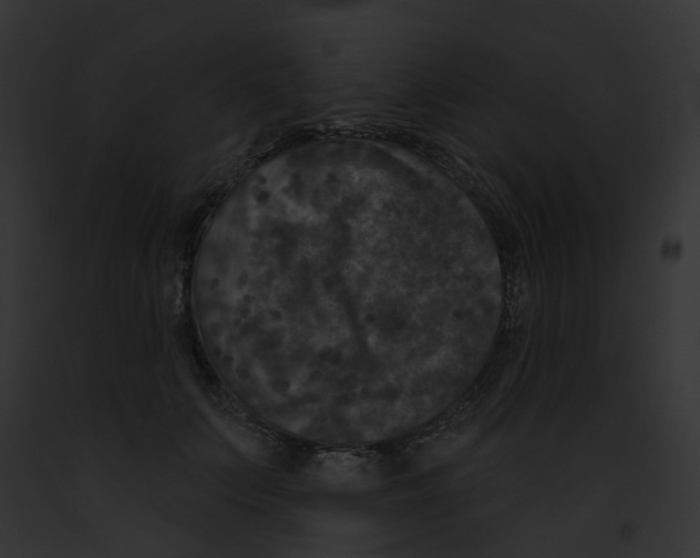 X0000091890703200710031141