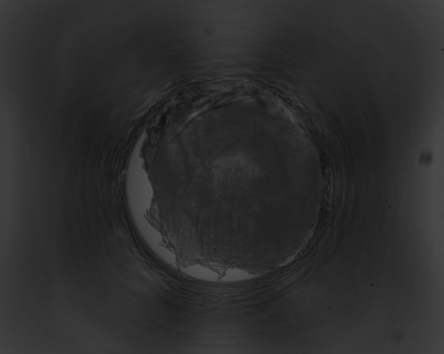 X0000091890704200710031141