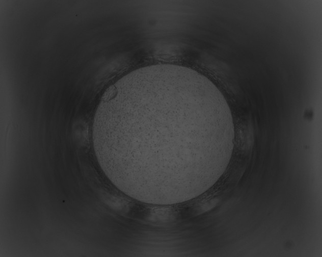 X0000091890705200710031141