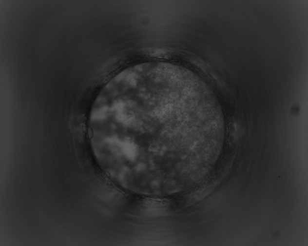 X0000091890707200710031141